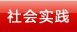 社会实践